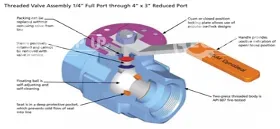 BM2080969-01 - BV 2F TE WKM 310C5 B138CS43CS – WRValve Type: Ball Valve, Floating Size: 2 in (50 mm)