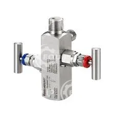 R306ET22BA11 - Rosemount R306 In-Line Manifold