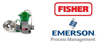 13A2619X102 - SEAL, BALL, P/N 13A2619X102, FOR FISHER 6" V100 BALL VALVE