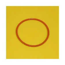 1090077 - 100.97mm Inside Diameter Seal-O-Ring
