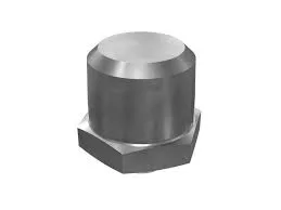 6U1989 - 1/8" PTF Relief Fitting